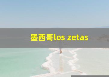 墨西哥los zetas